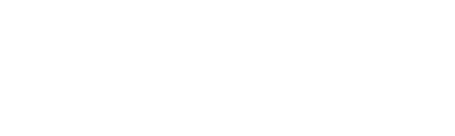 Securefact Resolving Risk